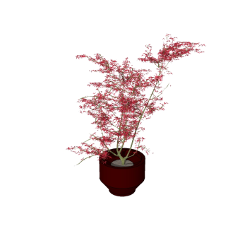红枫植物盆栽sketchup免费模型下载，植物红枫盆栽草图大师模型