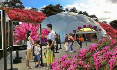 景观<a href=https://www.yitu.cn/su/7590.html target=_blank class=infotextkey>设计</a>效果图