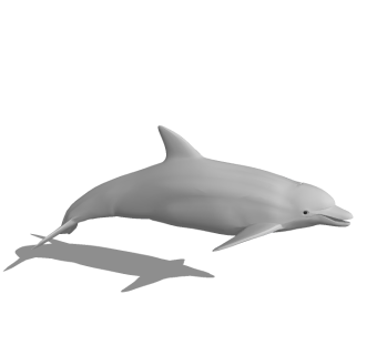 海豚草图大师模型，海豚sketchup模型