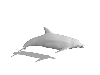 海豚<em>草图大师模型</em>，海豚sketchup模型
