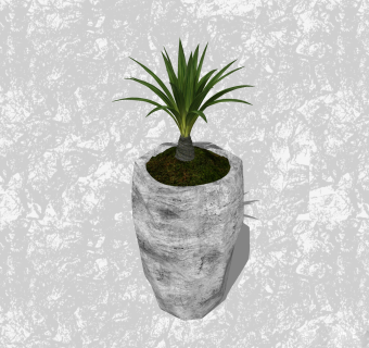 丝兰盆栽草图大师模型，家居植物sketchup模型下载