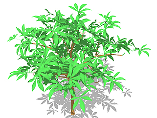 枇杷树乔木sketchup素材，景观绿植草图大师模型下载