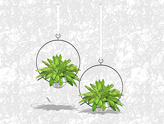 巴西<em>美人</em>盆栽草图大师模型，家居植物sketchup模型下载