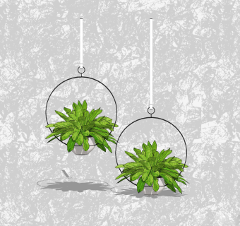 巴西美人盆栽草图大师模型，家居植物sketchup模型下载
