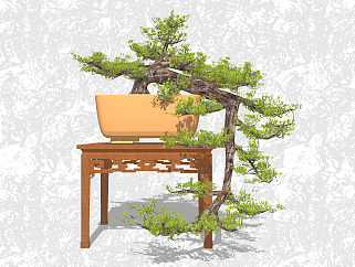 罗汉松盆栽草图大师模型，家居植物sketchup模型下载