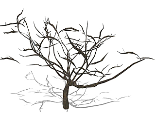 楝树<em>枯树乔木</em>草图大师模型，景观绿植sketchup素材下载