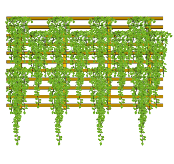 垂直绿植物墙su模型下载，花叶蔓长春花背景墙草图大师模型