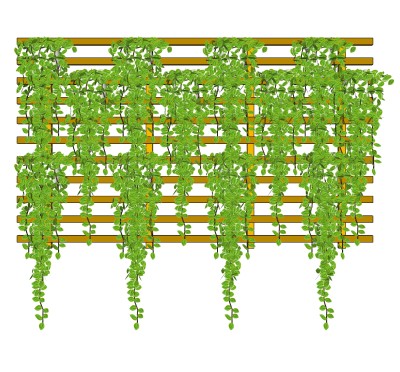 垂直绿植物墙su模型下载，花叶蔓长春花背景墙草图大师模型