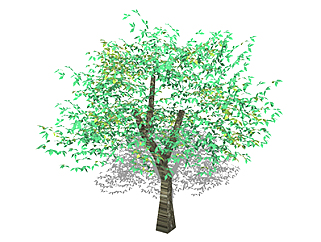 <em>朴树</em>乔木sketchup素材，景观绿植草图大师模型下载