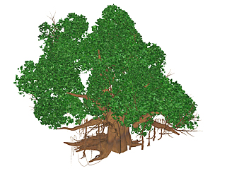 榕树乔木sketchup素材，景观绿植草图大师模型下载