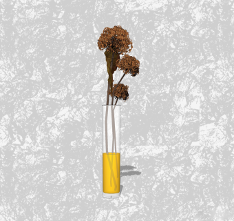 大花葱花瓶插花su模型，花艺草图大师模型下载