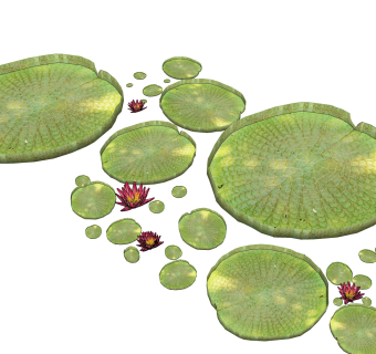 王莲绿植sketchup模型，现代花卉植物skp文件下载