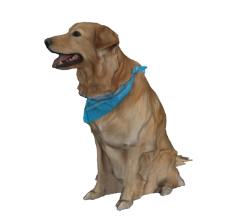 现代拉布拉多猎犬su模型，动物草图大师模型下载