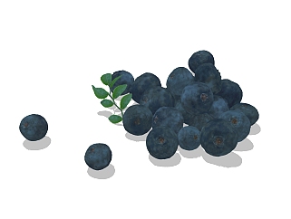  现代蓝莓草图大师模型，水果SU模型下载