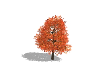 <em>现代景观树</em>SU模型，红枫草图大师模型免费下载