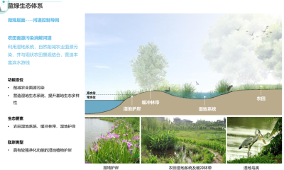 [上海]青浦重固镇概念规划景观方案文本-AECOM（新型城镇化综合示范区）_10