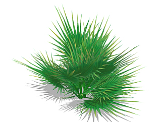 蒲葵植物su模型，绿植灌木草图大师模型下载