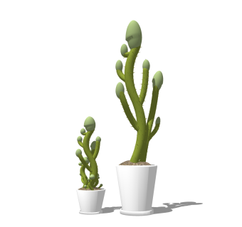 仙人掌盆景植物su模型，室内花艺草图大师模型下载