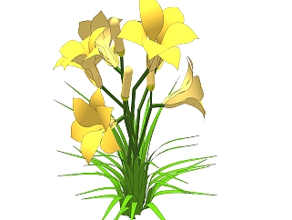 香雪兰绿植sketchup模型，现代<em>观</em>花植物skp文件下载