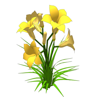 香雪兰绿植sketchup模型，现代观花植物skp文件下载