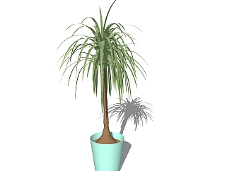 现代<em>室内</em>植物草图大师模型，<em>室内</em>植物SKP模型下载