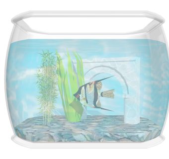 现代玻璃鱼缸SU模型，鱼缸skp文件下载