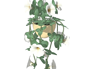 碧冬茄绿植花艺草图大师下载，垂直绿化植物su模型分享