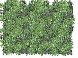 长叶肾蕨植物墙sketchup模型，<em>室内植物</em>墙skp文件下载