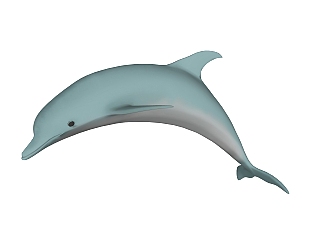 现代鲸鱼玩具草图大师模型，鲸鱼玩具SKP模型下载