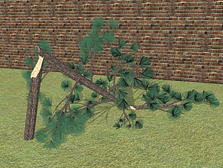 折断松树乔木草图大师模型，景观绿植sketchup素材下载