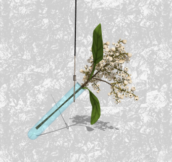 雪果插花草图大师模型，花艺花瓶sketchup模型下载