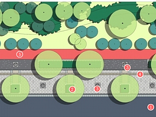 多彩新区道路景观绿化设计方案