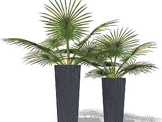 现代北欧花盆植物su模型，棕榈<em>花艺</em>草图大师模型下载