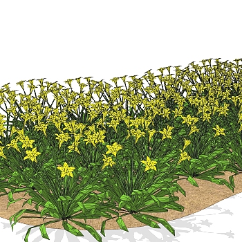 黄水仙绿植sketchup模型，现代<em>观</em>花植物skp文件下载