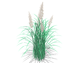 <em>芦苇</em>植物su模型，绿植草丛草图大师模型下载