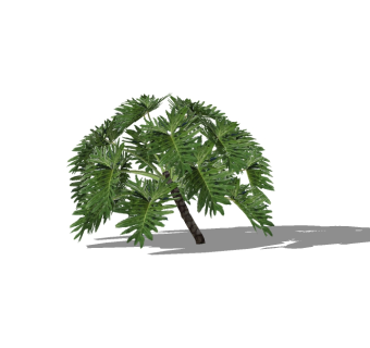芭蕉树SU模型下载，景观树草图大师模型