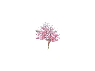 桃花树，SU模型免费下载