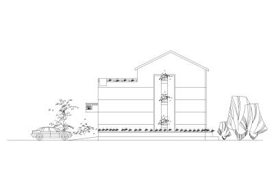 02新农村小康三层独院式住宅建筑侧立面图