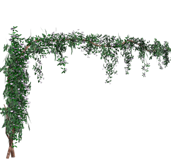 牵牛花sketchup文件，园艺藤蔓草图大师模型下载