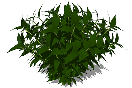 石楠植物su模型，绿植灌木草图大师模型下载