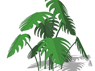 龟背<em>竹</em>灌木丛su模型，常绿灌木草图大师模型下载