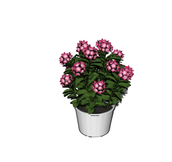 现代植物盆栽sketchup模型下载，植物盆栽草图大师模型