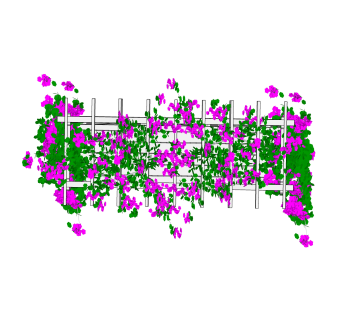 铁线莲绿植墙草图大师模型下载，垂直绿化植物墙su模型分享