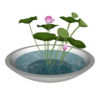 盆荷绿植sketchup模型，现代花卉植物skp文件下载