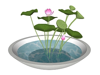 盆<em>荷</em>绿植sketchup模型，现代花卉植物skp文件下载