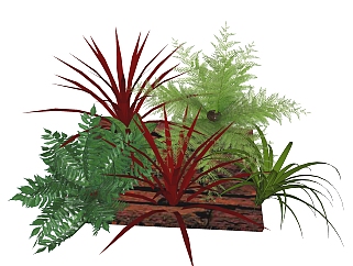 <em>贯众</em>绿植sketchup模型，现代观叶植物skp文件下载