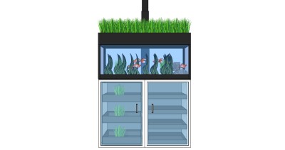 现代定做玻璃鱼缸草图大师模型，鱼缸sketchup模型下载