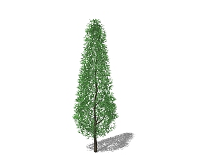 松树草图大师模型，松树sketchup模型下载