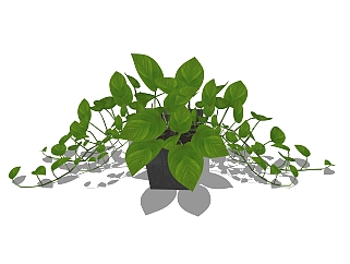 现代<em>室内</em>植物<em>草图</em>大师模型，<em>室内</em>植物SKP模型下载