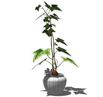 现代花瓶花钵草图大师模型下载、花瓶花钵su模型下载